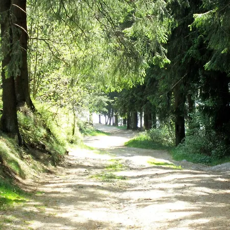 Chalet In Bullingen For 6 Person