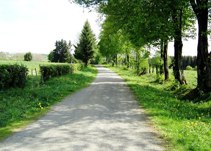 Шале In Bullingen For 6 Person *